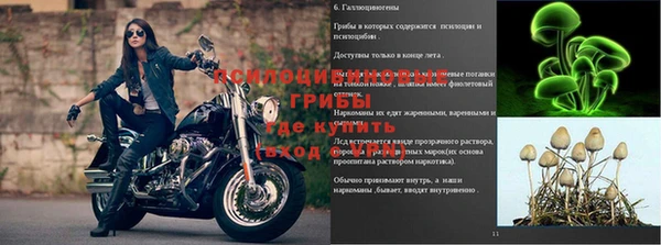 spice Баксан