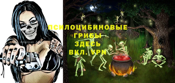 spice Баксан