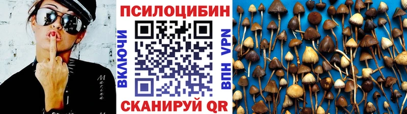 Галлюциногенные грибы ЛСД  Купить закладки  Вихоревка 